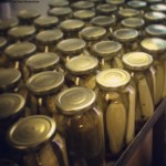 Dill Lineup